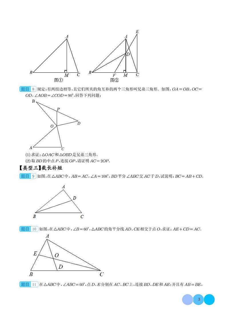 拓展 全等三角形提高证明题含辅助线（六种类型）（学生版）第3页