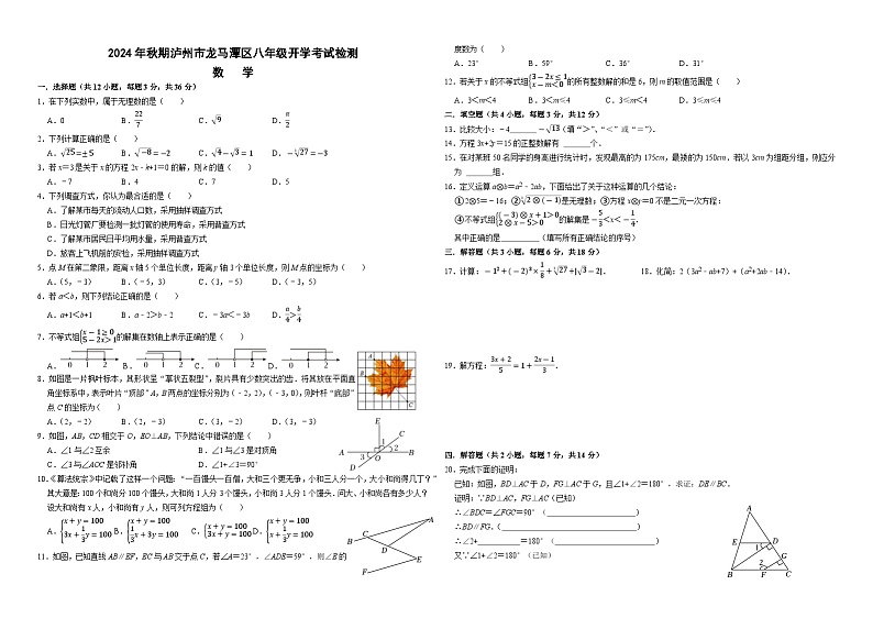 四川省泸州市龙马潭区2024-2025学年八年级上学期两校开学联考数学试题第1页