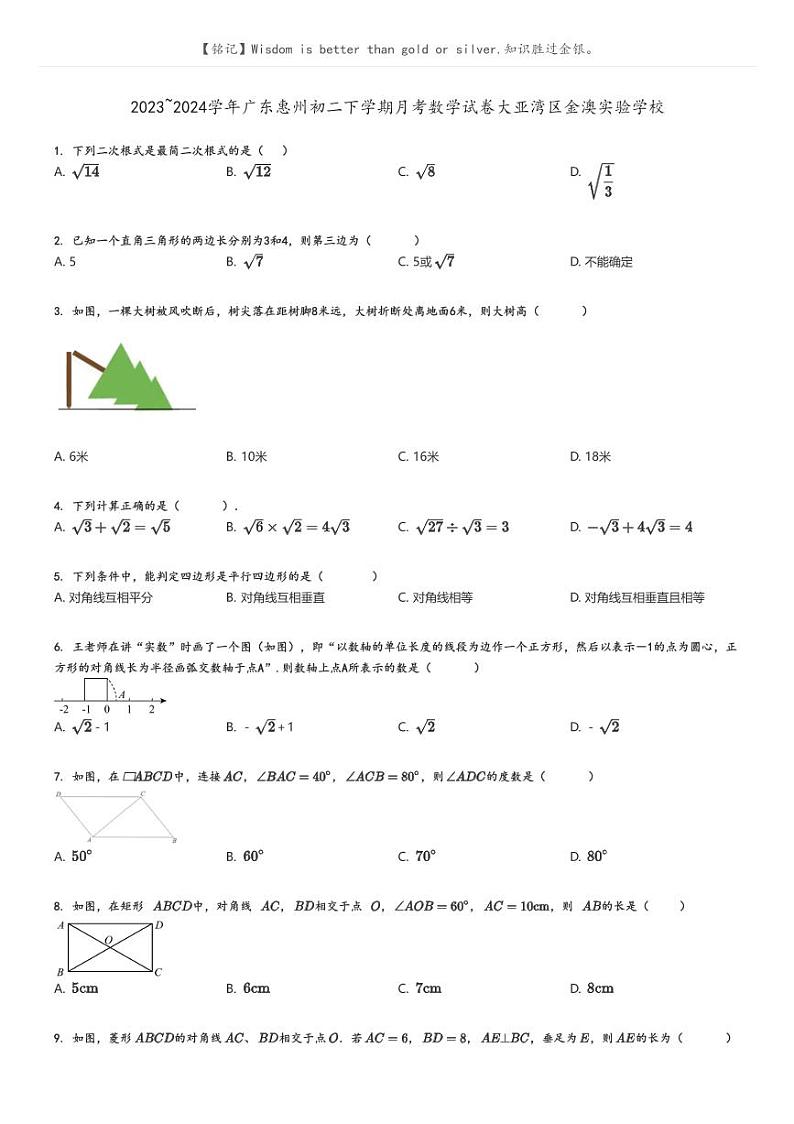 [数学]2023～2024学年广东惠州初二下学期月考数学试卷大亚湾区金澳实验学校原题版第1页
