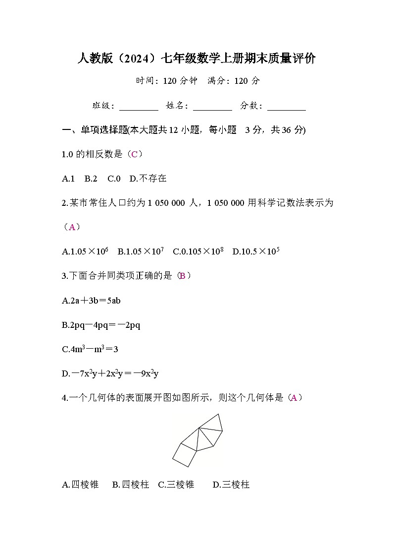 人教版（2024）2024-2025学年七年级数学上册期末质量评价 答案版01