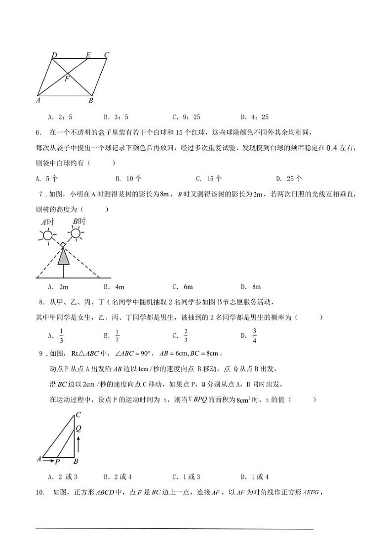 [数学][期中]2024～2025学年第一学期上深圳市九年级期中练习卷原题版第2页