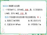 人教版2024-2025学年七年级数学上册2.3　2.3.3　近似数（学案课件）