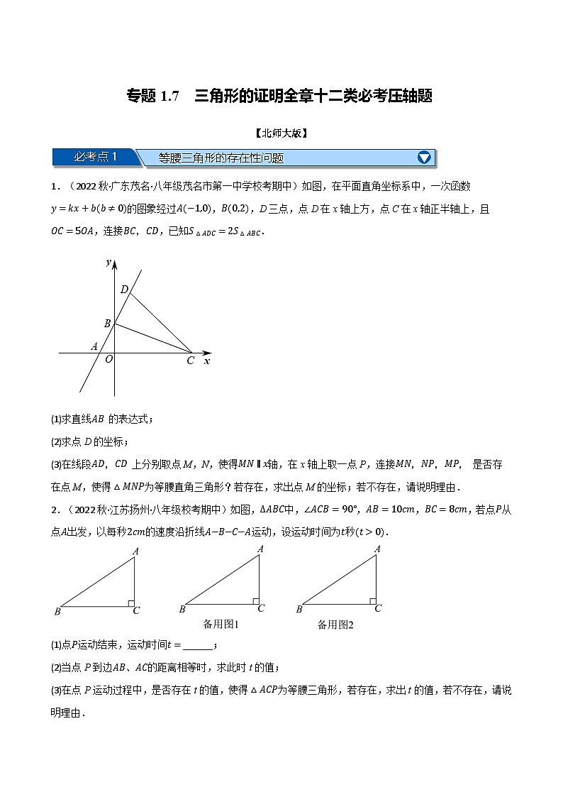 北师大版八年级数学下册举一反三系列1.7三角形的证明全章十二类必考压轴题(北师大版)同步练习(学生版+解析)01