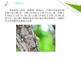 数学北师大版（2024）七上2.5有理数的加减混合运算　课件