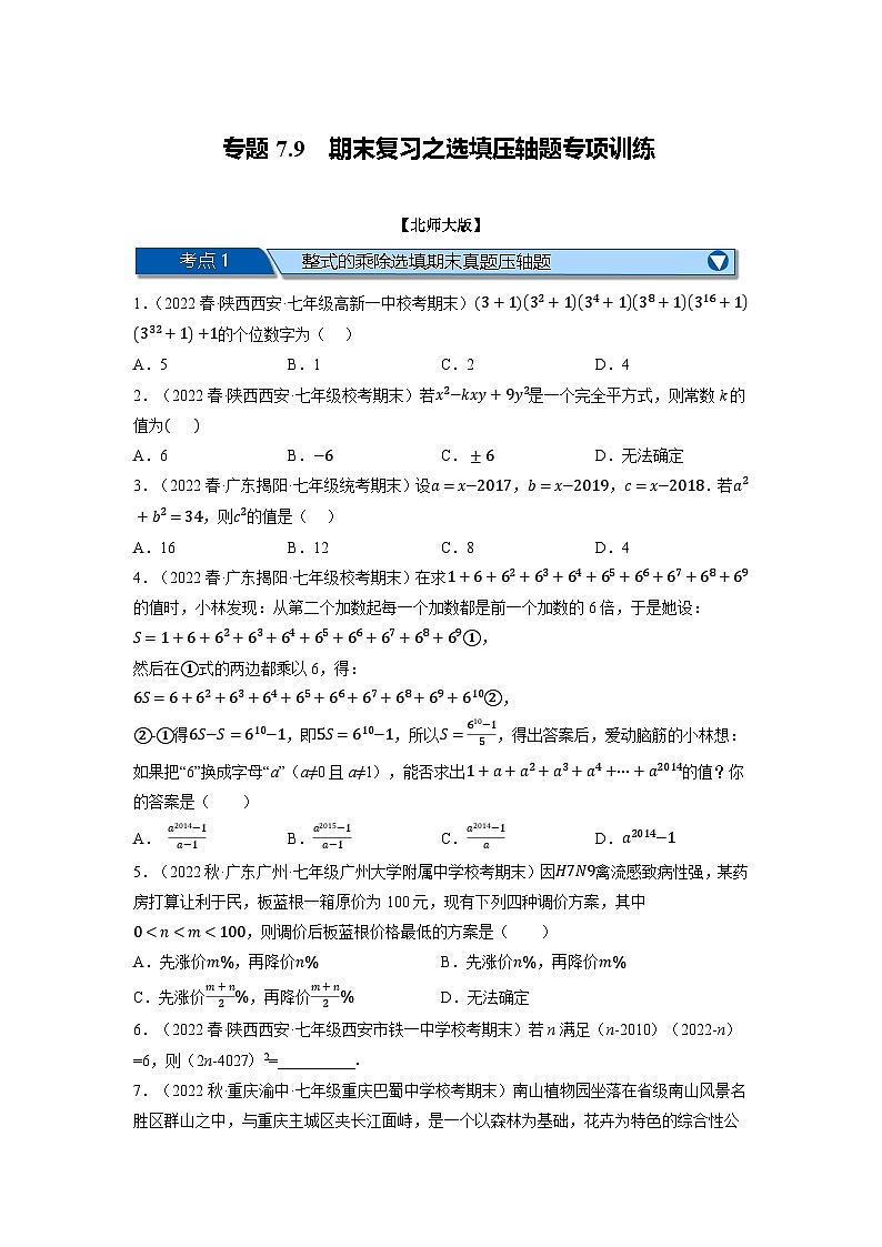 北师大版七年级数学下册举一反三系列7.9期末复习之选填压轴题专项训练(北师大版)同步学案(学生版+解析)01