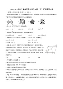 2024-2025学年广东省深圳中学九年级（上）开学数学试卷（含解析）