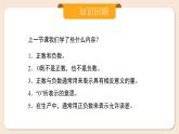 2024秋季人教版七年级上册数学  1.2.1有理数  PPT课件+教案+习题