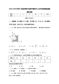 2024-2025学年广东省深圳市文锦中学数学九上开学质量跟踪监视模拟试题【含答案】