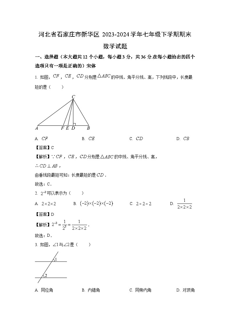 [数学][期末]河北省石家庄市新华区2023-2024学年七年级下学期期末试题(解析版)01