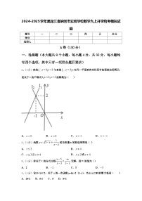 2024-2025学年黑龙江省讷河市实验学校数学九上开学统考模拟试题【含答案】