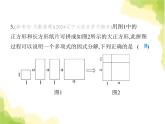鲁教版八年级数学上册第一章因式分解素养综合检测课件