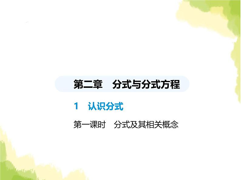 鲁教版八年级数学上册第二章分式与分式方程1第一课时分式及其相关概念课件01