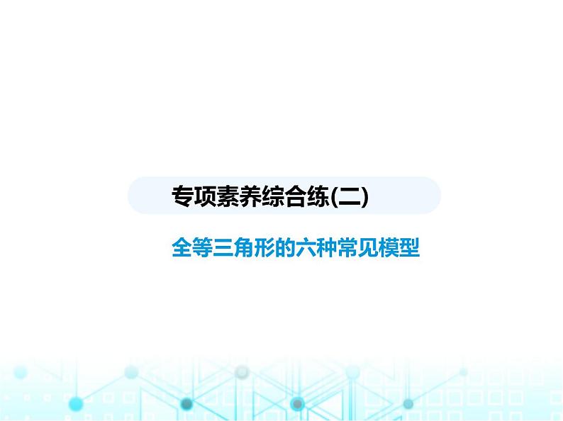 人教版八年级数学上册专项素养综合练(二)全等三角形的六种常见模型课件01