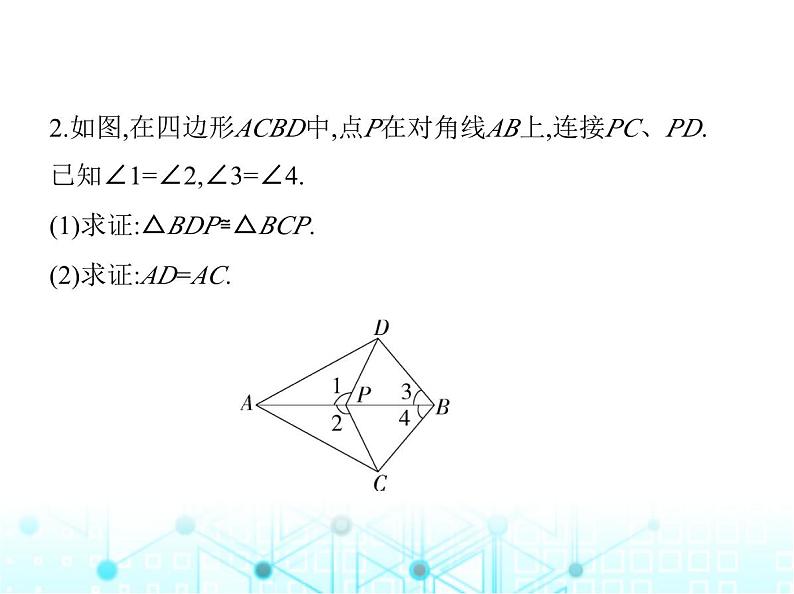 人教版八年级数学上册专项素养综合练(二)全等三角形的六种常见模型课件07