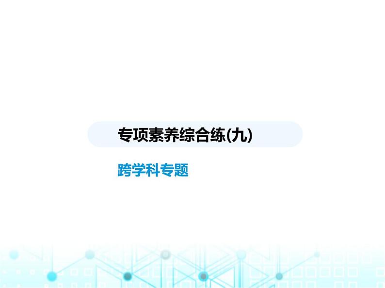 人教版八年级数学上册专项素养综合练(九)跨学科专题课件01