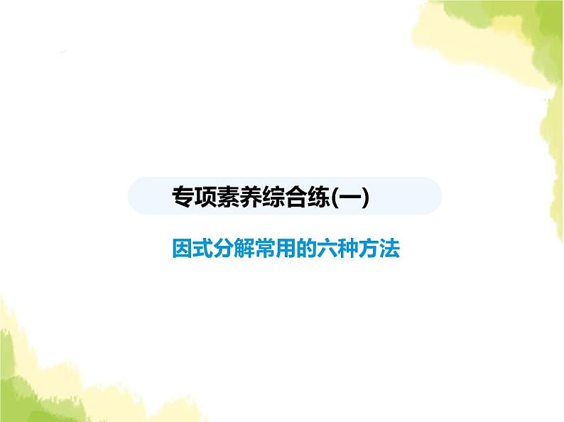 鲁教版八年级数学上册专项素养综合练(一)因式分解常用的六种方法课件01