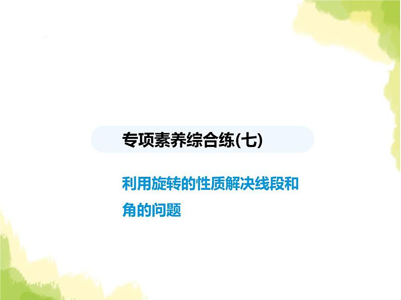 鲁教版八年级数学上册专项素养综合练(七)利用旋转的性质解决线段和角的问题(1)课件01