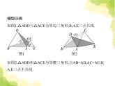 鲁教版八年级数学上册专项素养综合练(八)旋转中的三种常用模型课件