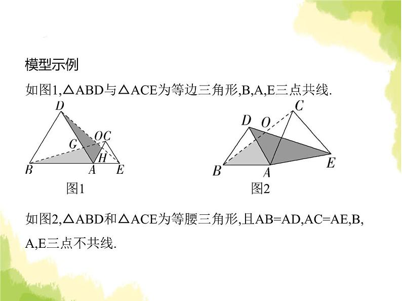 鲁教版八年级数学上册专项素养综合练(八)旋转中的三种常用模型课件第3页