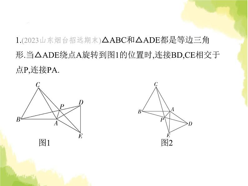 鲁教版八年级数学上册专项素养综合练(八)旋转中的三种常用模型课件第4页