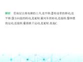 冀教版七年级数学上册第二章几何图形的初步认识2.8平面图形的旋转课件