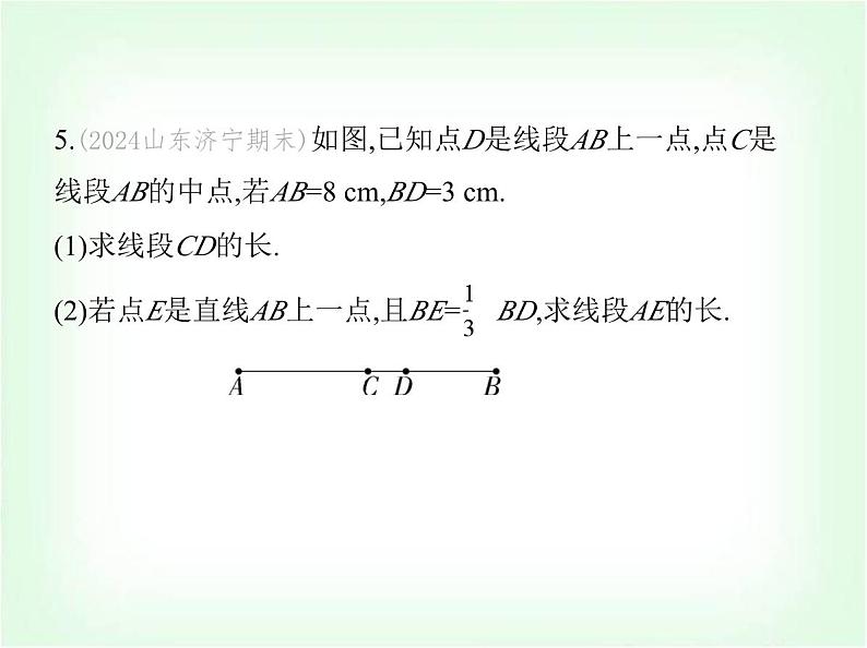 华东师大版七年级数学上册专项素养综合练(六)与线段中点有关的计算练题型课件第8页