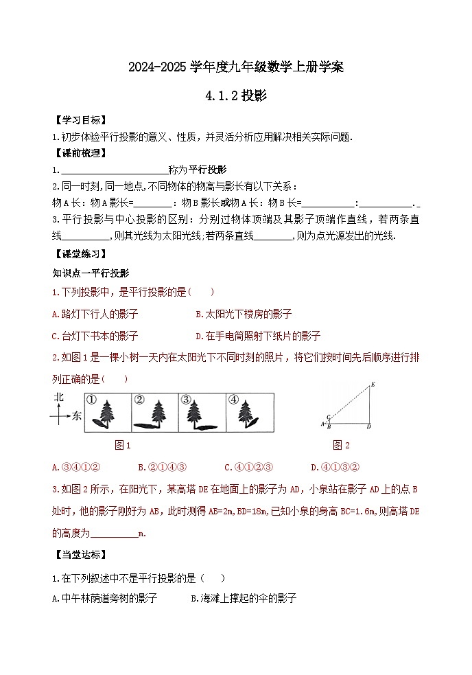泰安市泰山区东岳中学2024-2025年九年级第一学期上册数学4.1.2投影学案和答案第1页