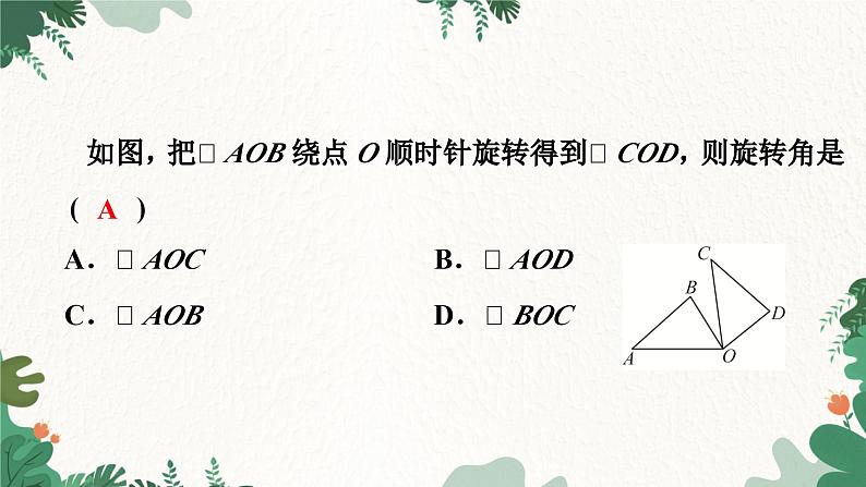 23.1 图形的旋转1：定义与性质 人教版九年级数学上册课件05