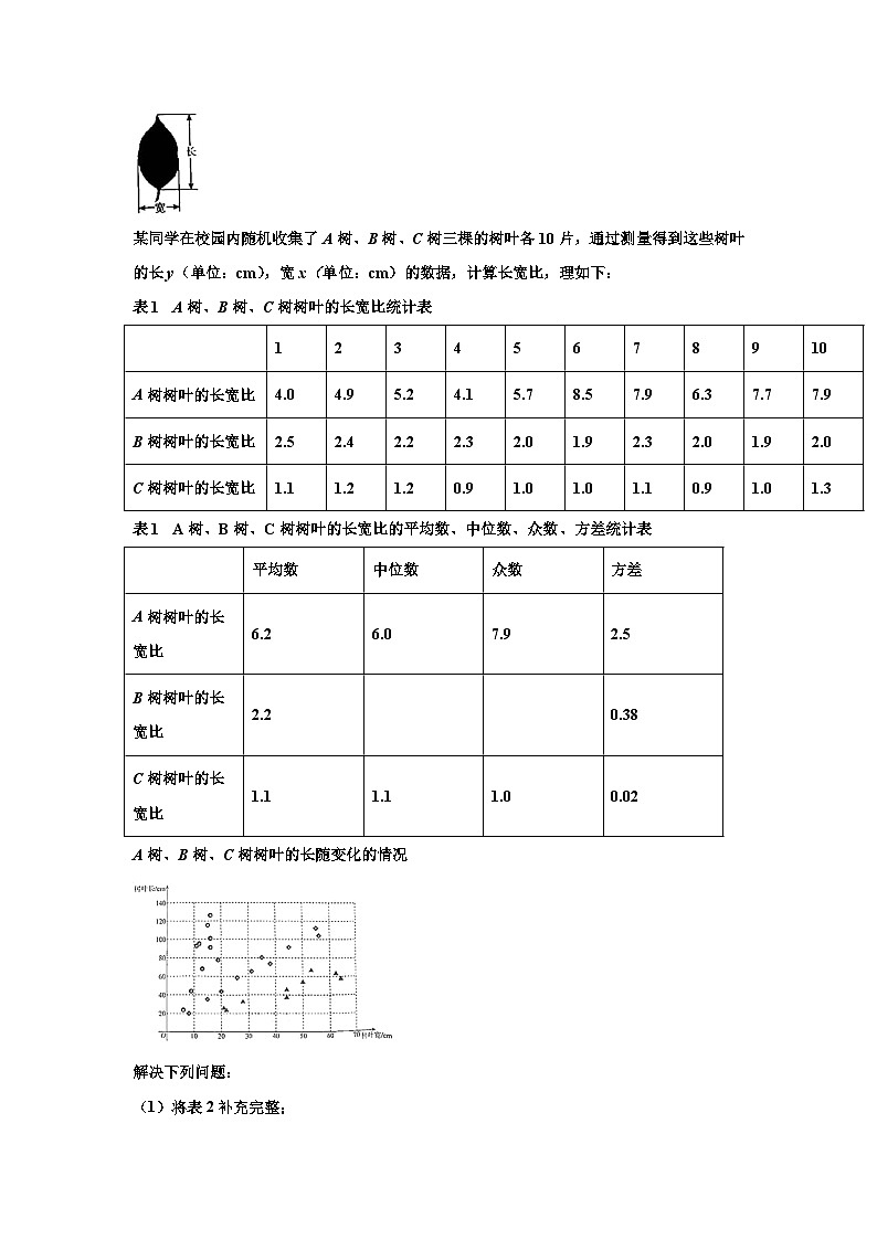 2024-2025学年江苏省南京市金陵汇文中学数学九上开学监测模拟试题【含答案】03