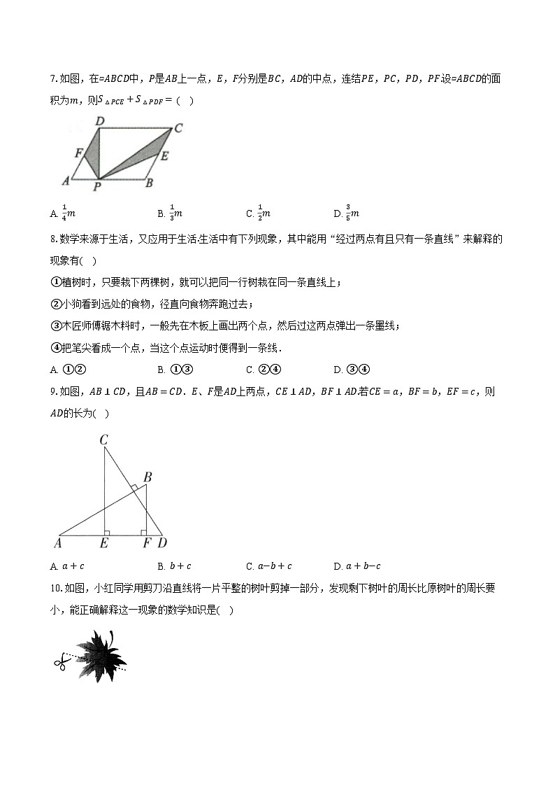 4.2线段，射线，直线 湘教版（2024）初中数学七年级上册同步练习（含详细答案解析））02