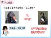 華東師大版（2024）七年級數(shù)學(xué)上冊3.2.1 第2課時 三視圖 同步課件
