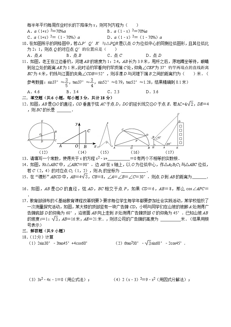 山东省菏泽市单县希望初级中学2024-2025学年九年级上学期数学期末模拟测评卷第2页