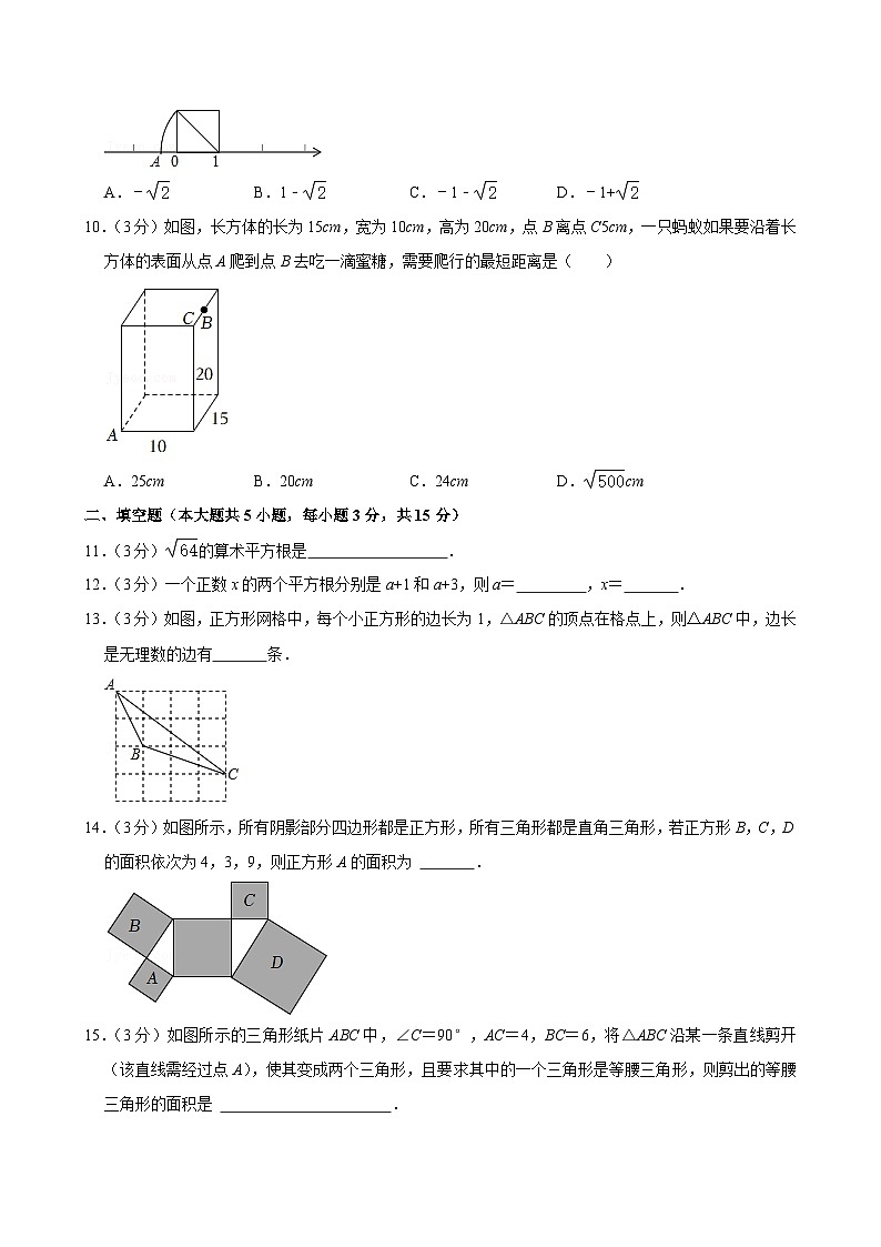 2023-2024学年河南省郑州实验外国语中学八年级（上）月考数学试卷（10月份）02