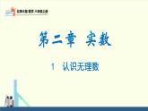 2.1 认识无理数（同步课件）八年级数学上册同步课堂（北师大版）