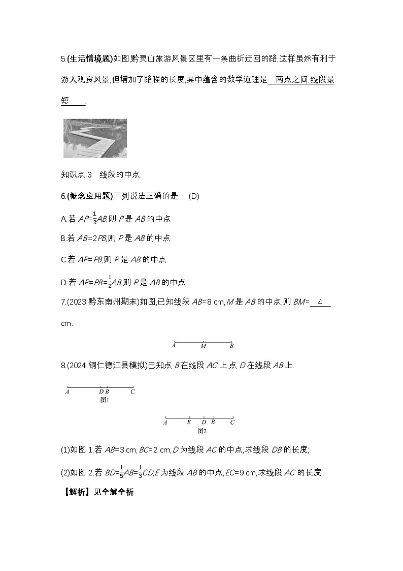 4.2　线段、射线、直线（2）答案第2页