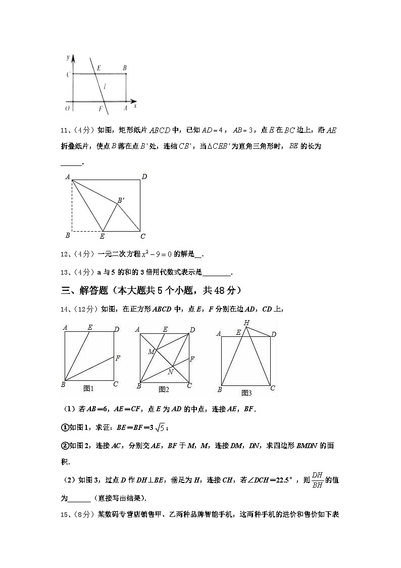 2024-2025学年四川省南充市阆中学数学九上开学达标测试试题【含答案】第3页