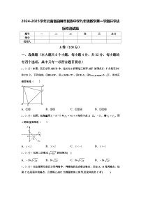 2024-2025学年云南省曲靖市民族中学九年级数学第一学期开学达标检测试题【含答案】