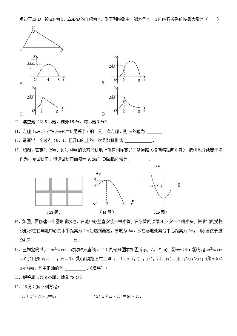 202-2025学年人教版数学九年级上册第一次月考 模拟试题第2页