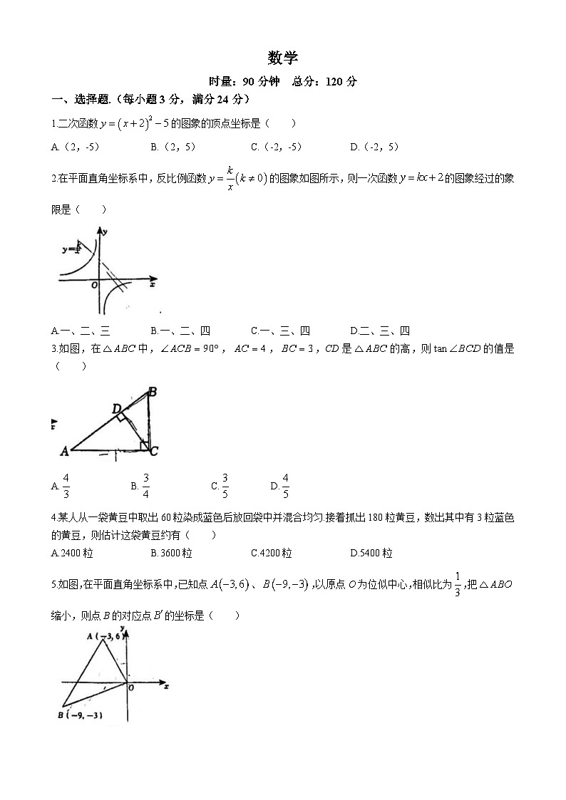 湖南省岳阳市第九中学2023-2024学年九年级下学期期末数学试题01