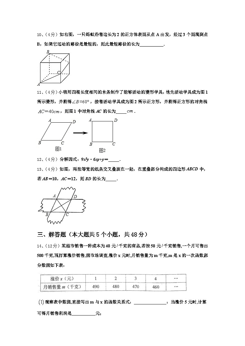 2024-2025学年浙江省台州市椒江区第五中学数学九年级第一学期开学综合测试试题【含答案】第3页