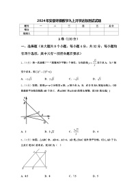 2024年安徽许镇数学九上开学达标测试试题【含答案】