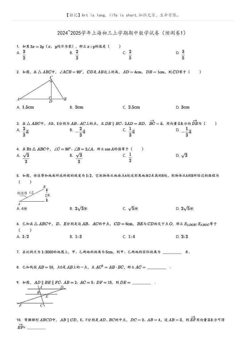 [数学]2024～2025学年上海初三上学期期中数学试卷(预测卷1)(原题版+解析版)01
