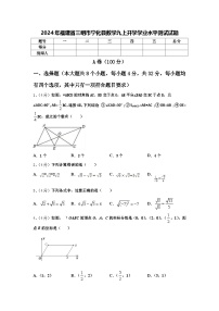 2024年福建省三明市宁化县数学九上开学学业水平测试试题【含答案】