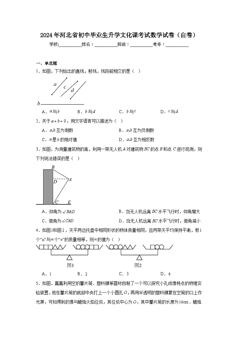 2024年河北省初中毕业生升学文化课考试数学试卷（白卷）第1页