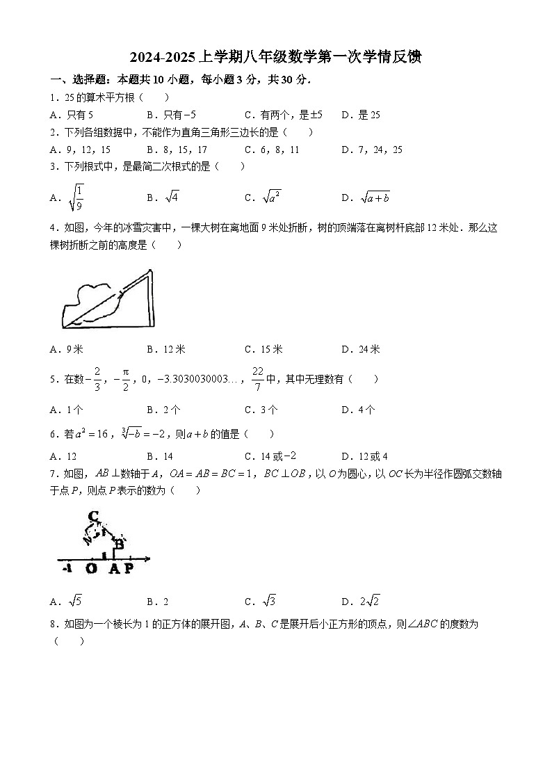 河南省驻马店市驿城区2024~2025学年八年级上学期月考数学试题(无答案)01