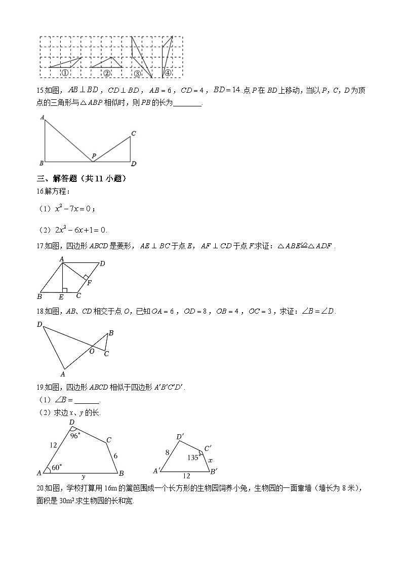 山东省济南第十三中学2024-2025学年九年级上学期9月份月考数学试题03