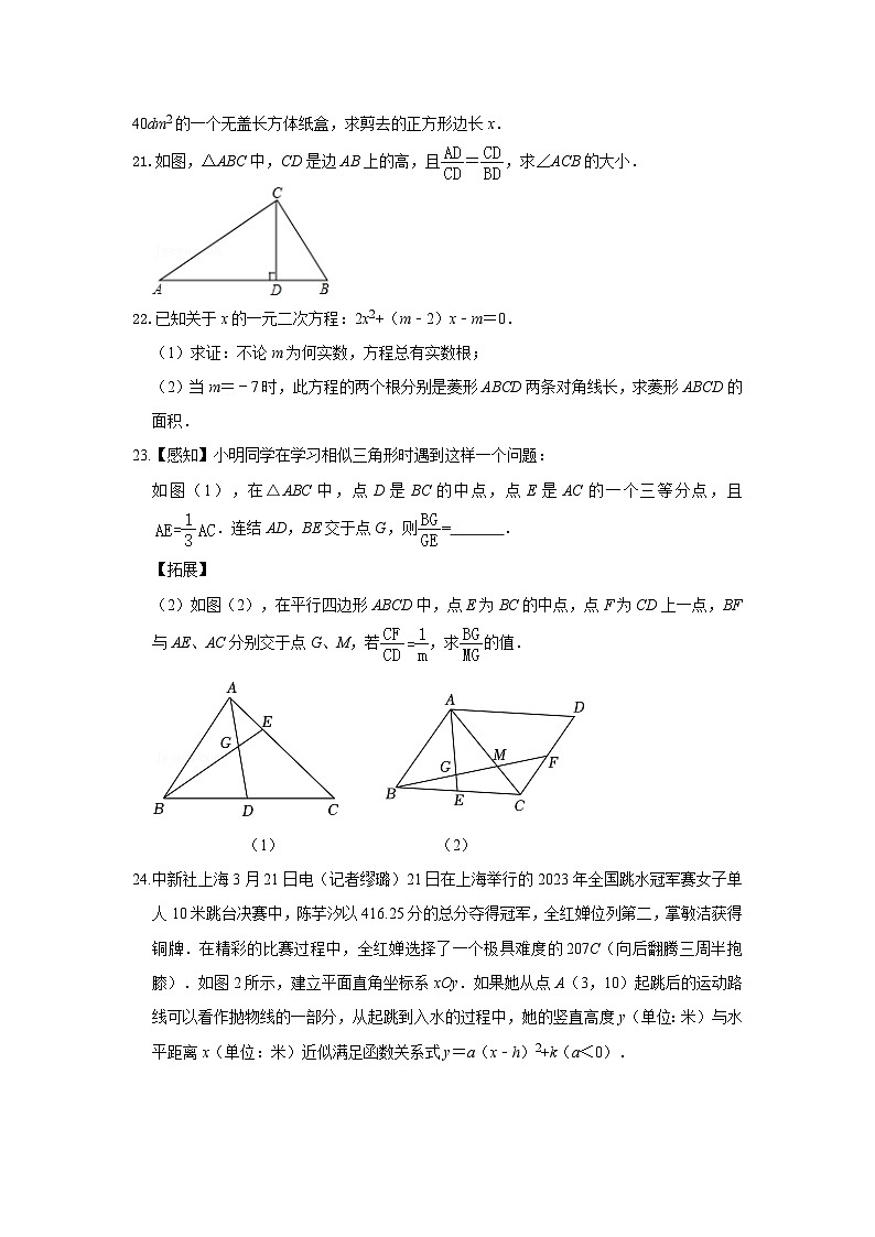 福建省莆田市哲理中学2024-2025学年九年级上学期9月月考数学试题第3页