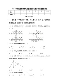 2024年湖北省孝感市八校联谊数学九上开学检测模拟试题【含答案】