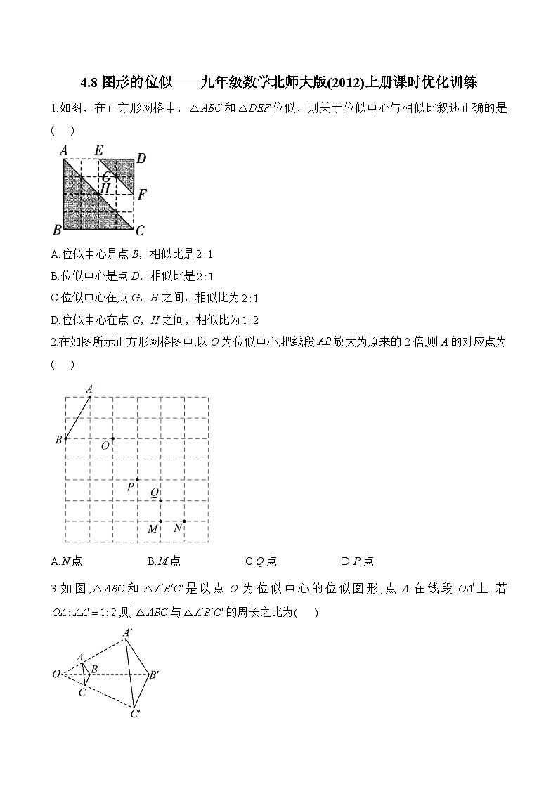 4.8 图形的位似 九年级数学北师大版上册课时优化训练(含答案)第1页