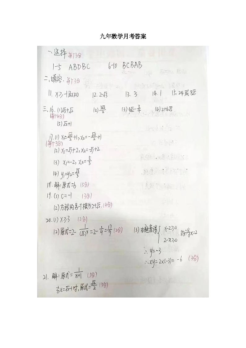 河南省南阳市内乡县赵店初级中学2024-2025学年九年级上学期9月月考数学试题01